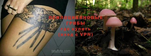 индика Медногорск